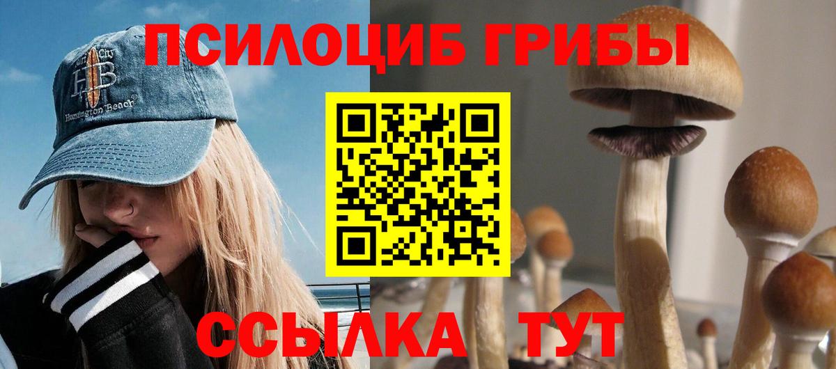 Апатиты  Галлюциногенные грибы мухоморы  купить наркотик  Вход с VPN 
