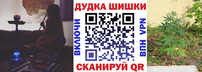 где можно купить наркотик  Апатиты  Бошки марихуана AK-47 